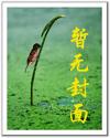 无限之另类进化